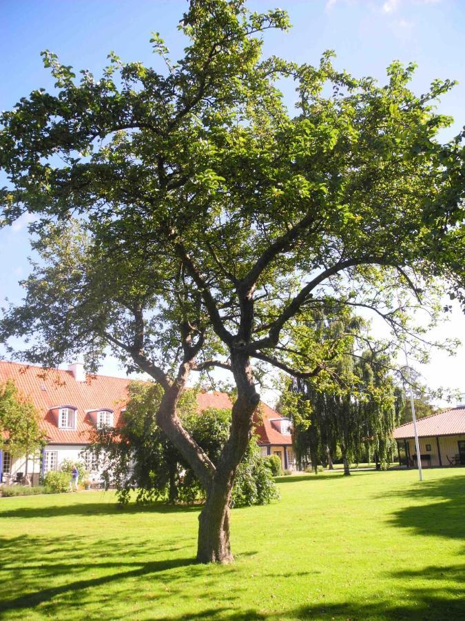 Inspiration Center Denmark, Bed & Breakfast Maribo Esterno foto